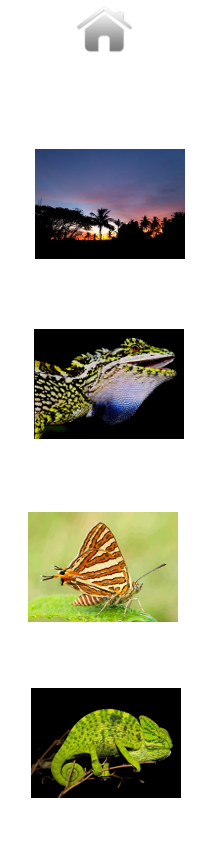 sidebar