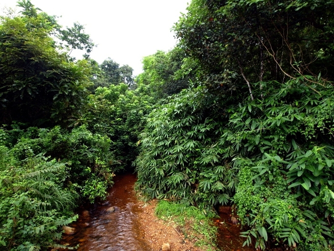 IISER Thiruvananthapuram Vithura campus