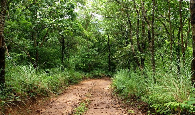 IISER Thiruvananthapuram Vithura campus